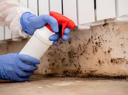 Best Indoor Air Quality Assessment in Broadlands, VA